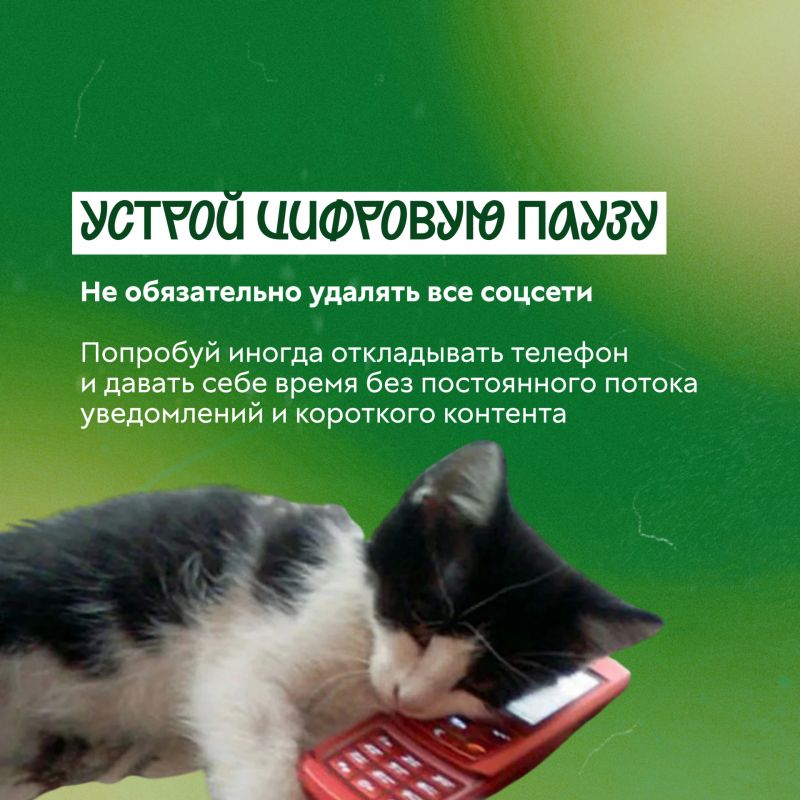 Наверняка ты слышал фразу «гормон счастья» Наверняка ты слышал фразу «гормон счастья»