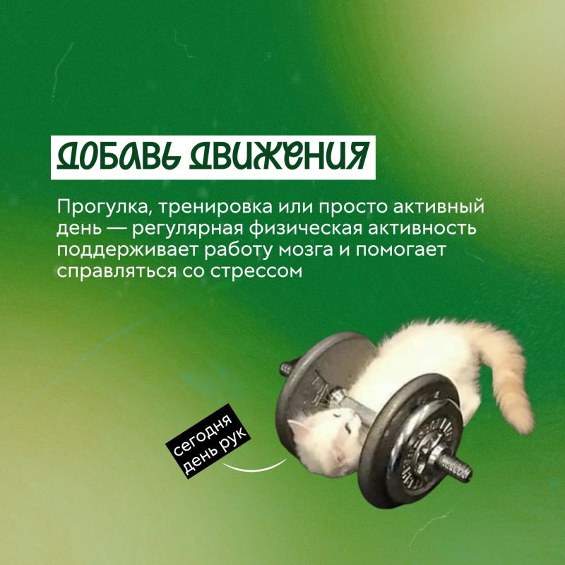 Наверняка ты слышал фразу «гормон счастья» Наверняка ты слышал фразу «гормон счастья»