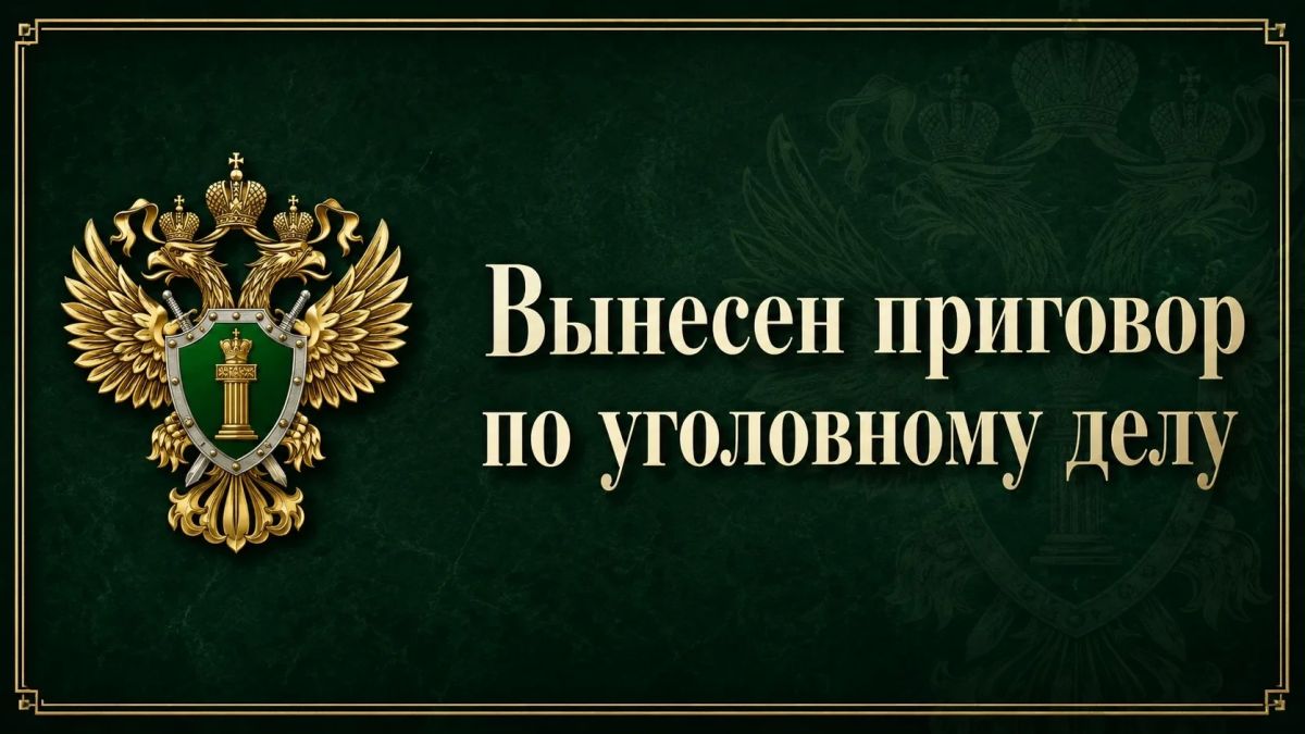 В Пинежском районе осуждён 18-летний местный житель за насилие в отношении сотрудника полиции и оскорбление представителей власти
