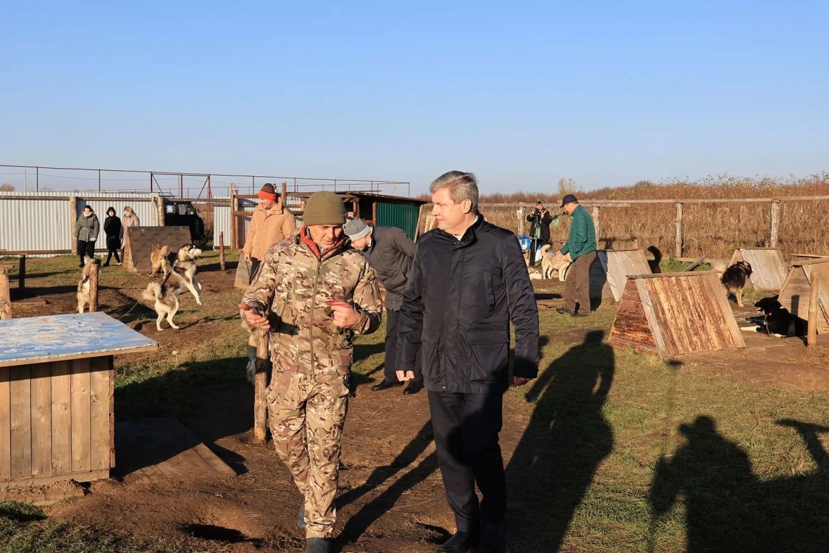 Созданный на базе центра «Архангел» клуб ездового спорта успешно развивается Созданный на базе центра «Архангел» клуб ездового спорта успешно развивается