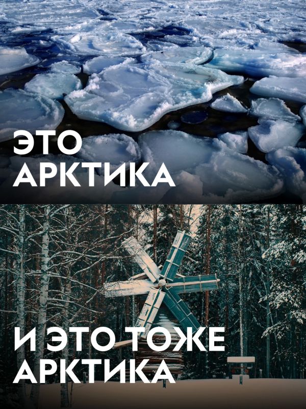 Думаешь, Арктика — это только льды и белые медведи? Думаешь, Арктика — это только льды и белые медведи?