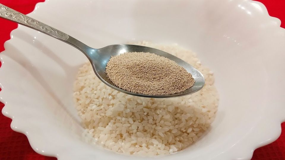 ��������� ���� � �����: ������, ������ � �����������