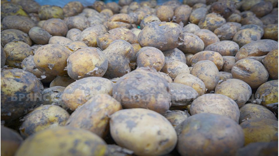 ������������ ��� � �������: ��� ������� ������� ����������� �����