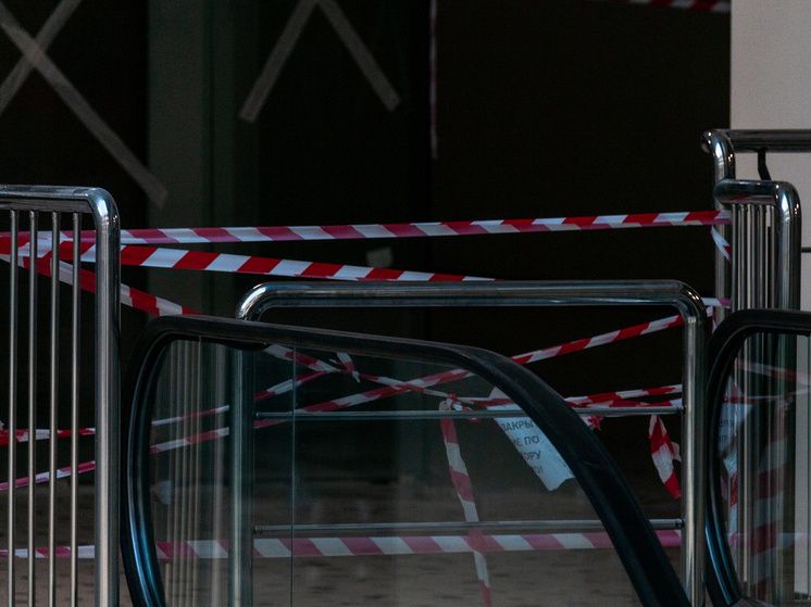 Louis Vuitton возвращается: новые шаги бренда в регистрации логотипов в России