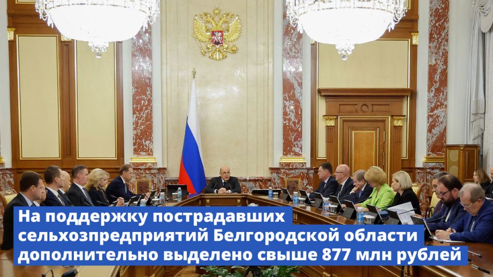 Финансовая поддержка граждан в новых регионах: что ожидать от правительства