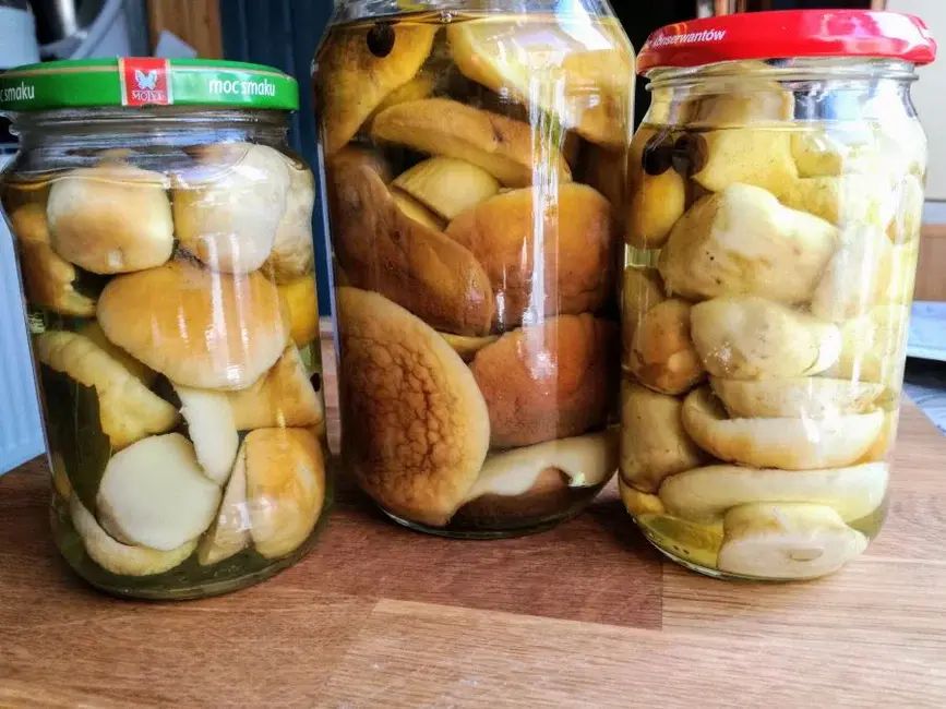 Маринованные грибы: овощной деликатес на зиму