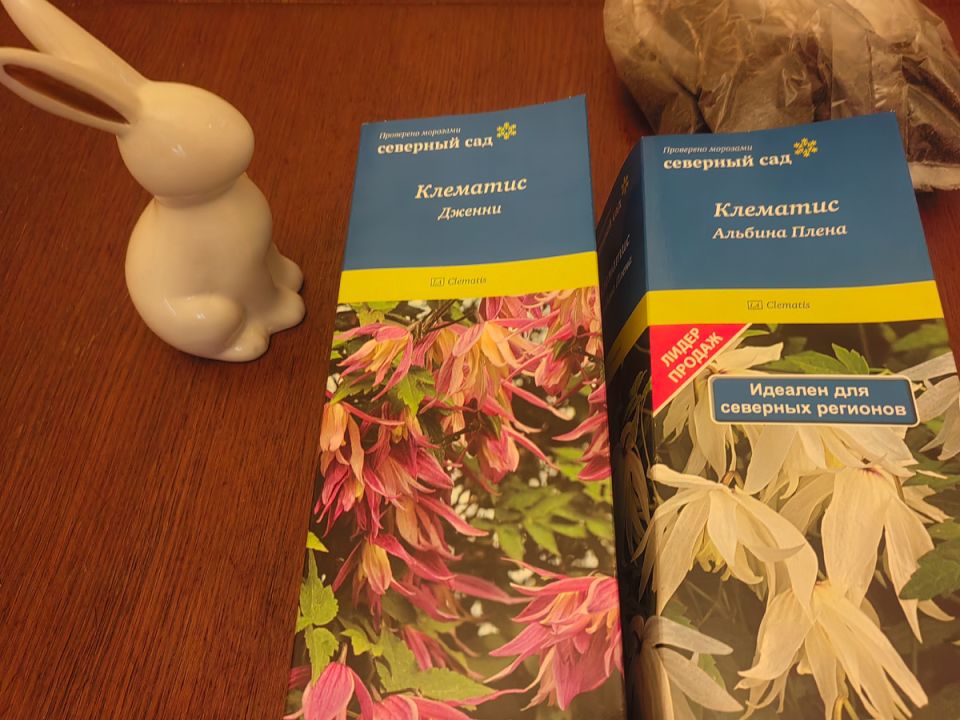 Как сосна и княжик могут стать идеальной парой в вашем саду