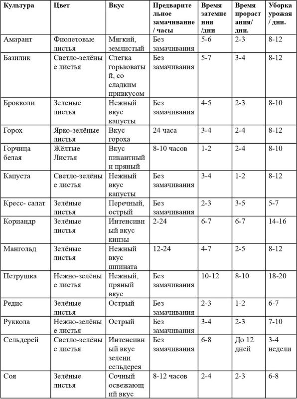 Микрозелень: путь к свежести на вашем столе за считанные дни
