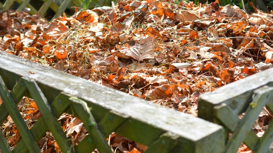 Компостную кучу нужно делать по этим правилам: тогда на зиму накрывать ее не придется