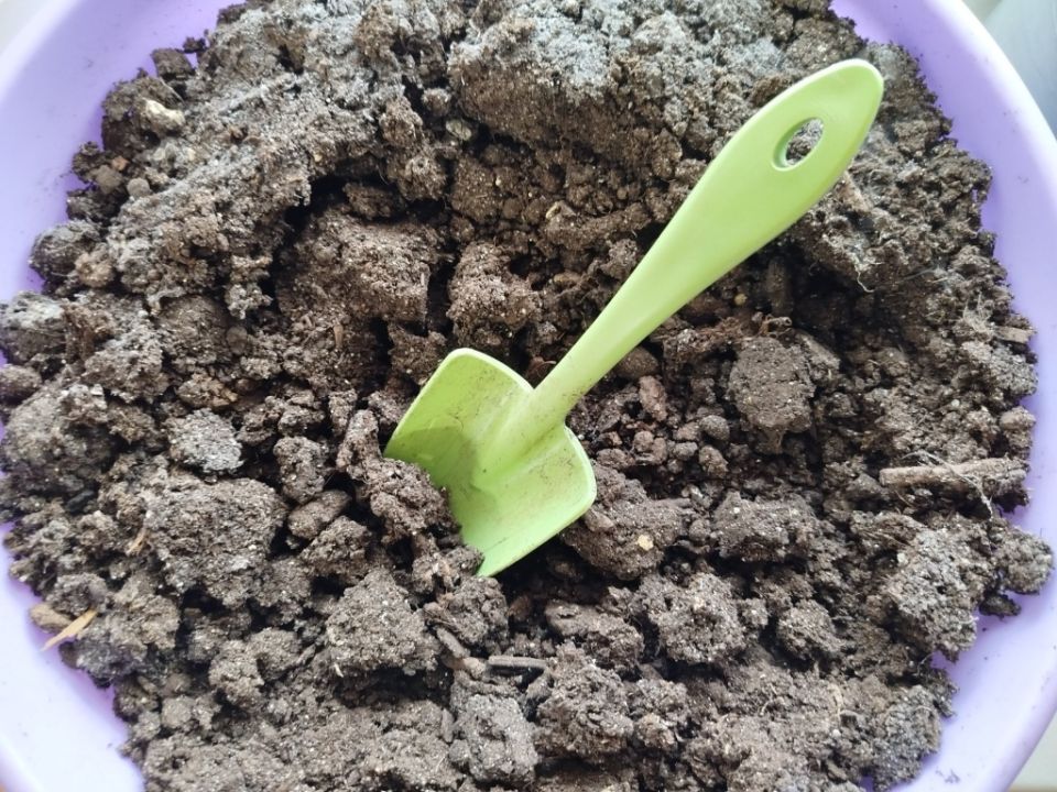 Секреты заготовки грунта для рассады: как подготовить идеальный субстрат осенью