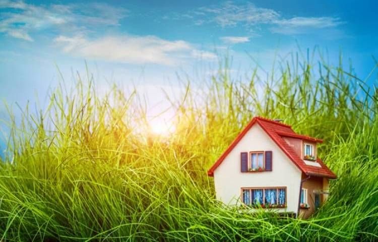 Получите бесплатный земельный участок в 2025 году: Узнайте, как это сделать!