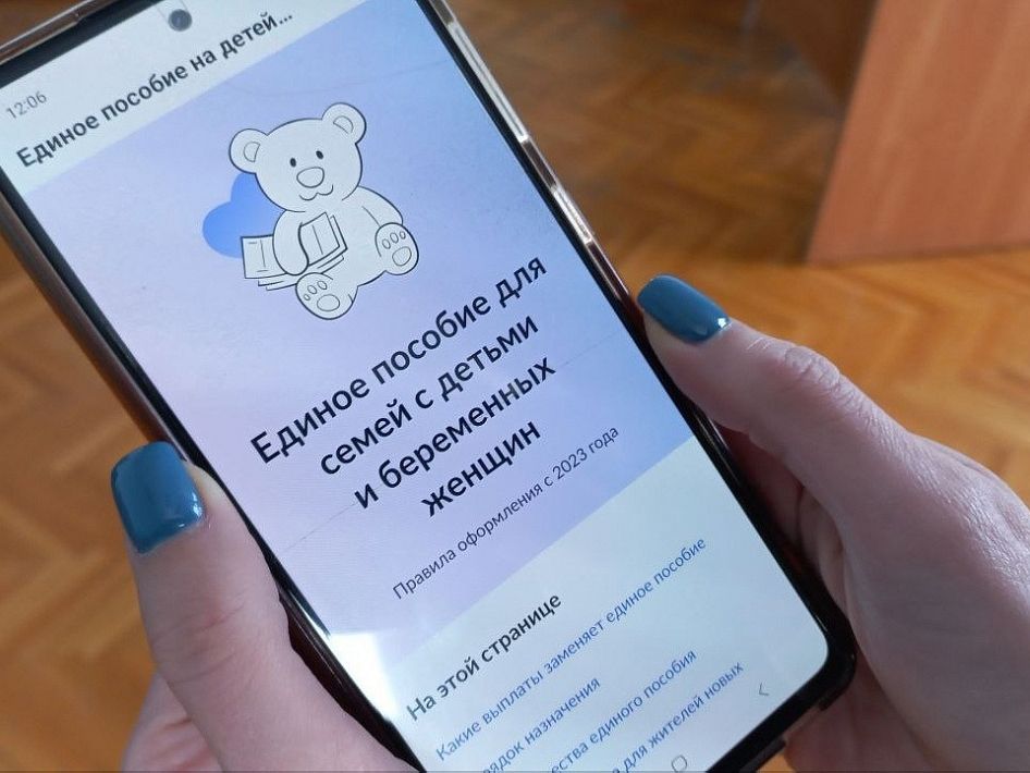 Революция в государственных услугах: финансовая поддержка на расстоянии клика