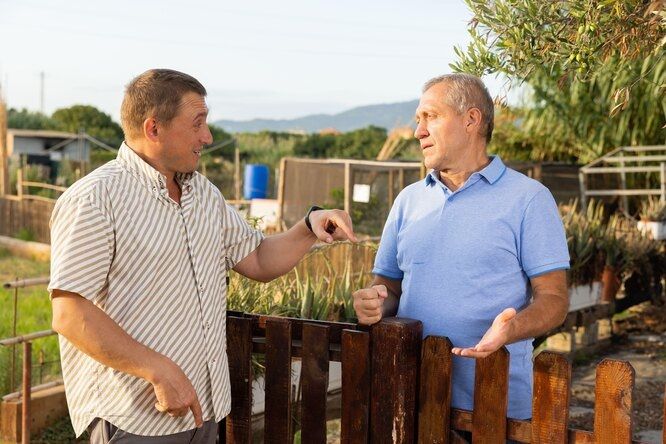 Как защитить свои дачные границы: права и возможности