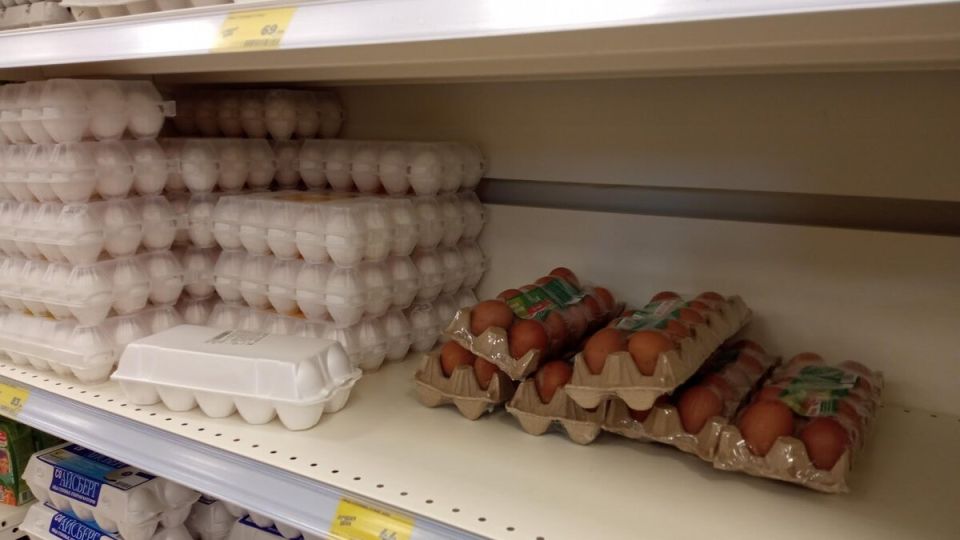 Как избежать подделок при покупке яиц: советы опытных хозяек