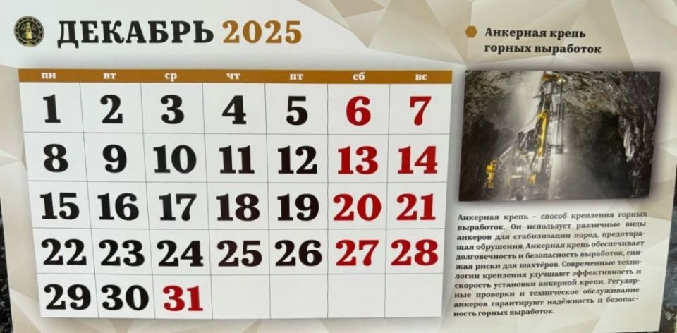 Что изменится в жизни россиян с 1 декабря 2025 года: новые законы на горизонте