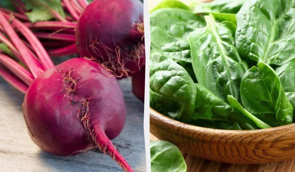 Овощи, которые подарят вашему организму магний: список полезных сортов