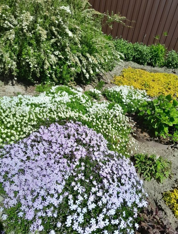 ��������� ����: ��� ���������� �� �������� ��� � ��������