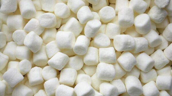 ������� ��������: �������� �������� ��������� ������� ���������� �� ������