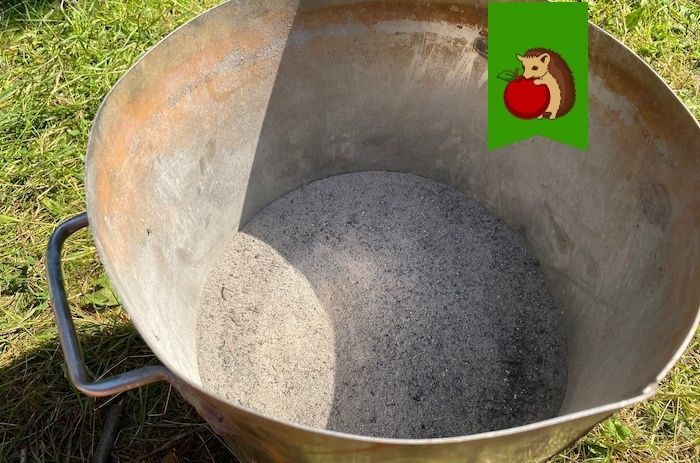 Травяной настой: когда его использовать опасно для растений