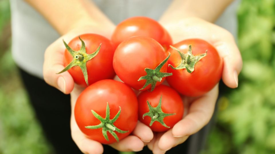 ������� ��� ������� �������: ��� ������� ��� ��������� ������ �������?