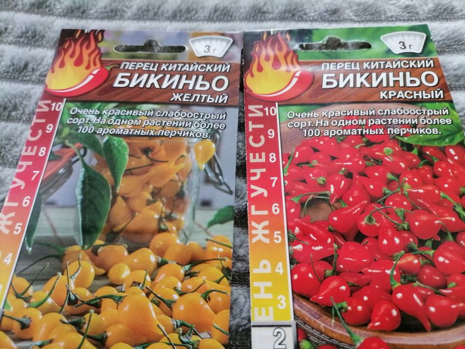 ����-�����: ����� ����� �� �������� � � ������