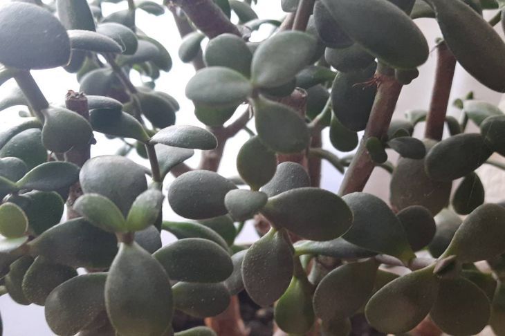 ��� ��������� �������� ������ ������: �� ���� ����� �� ������ �������