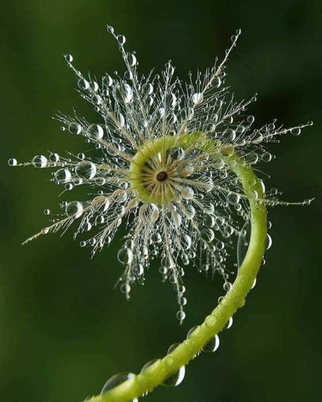 �����������: ����� ���������� �� ����� ����������