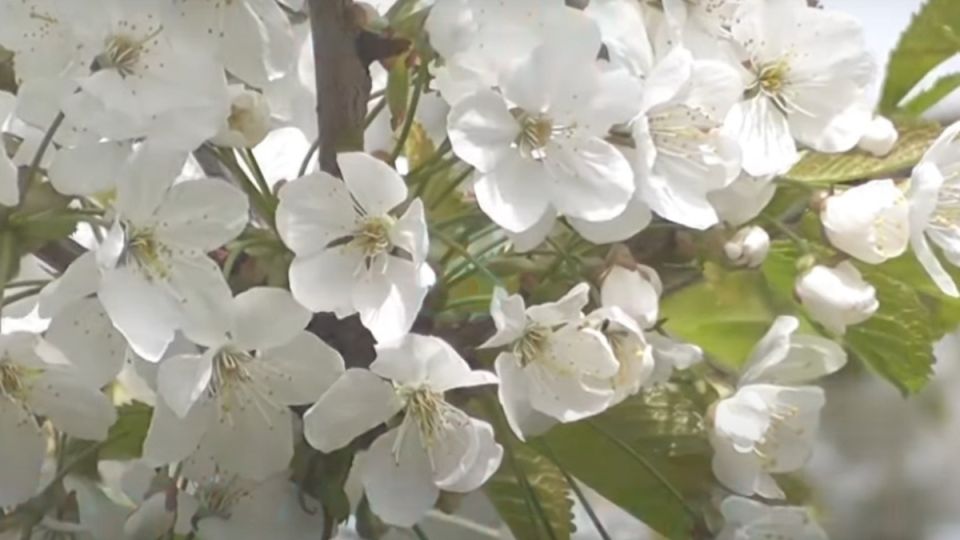 ������ ����� ������, �� ������ �� ����?