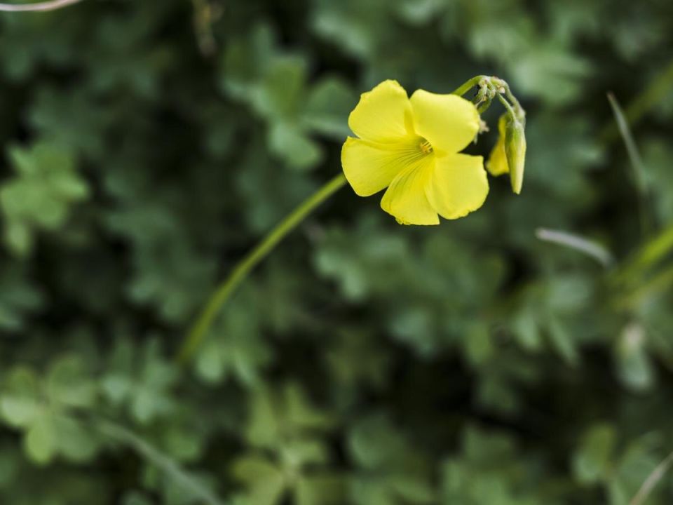 �������: ������������� ��������� ���� � ��������� ��������