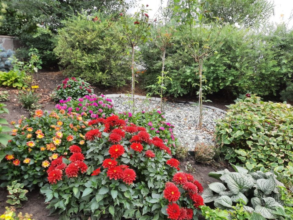 ������ �������� �� ��� ������� ����: ���� � ������������