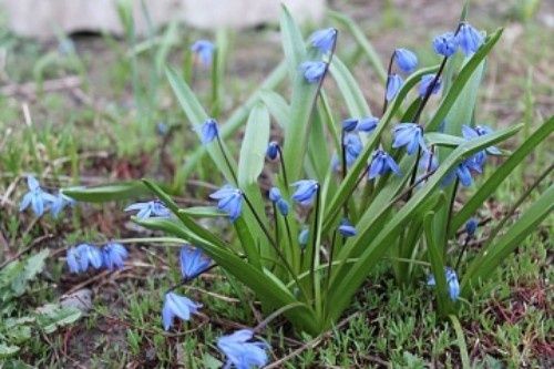 ������: ����� ������ � ������� ����������� ��� ������ ����