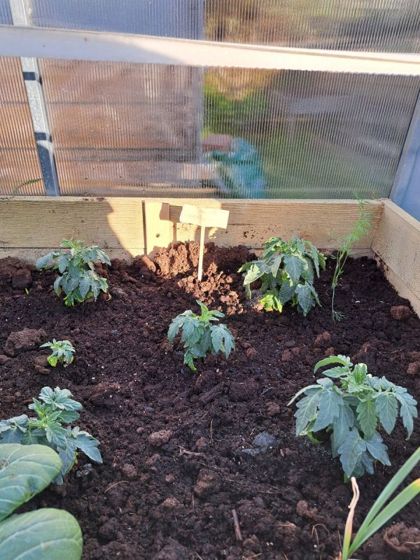 �������� �������: ��� ���� ��������� ������� ������ ������ �����