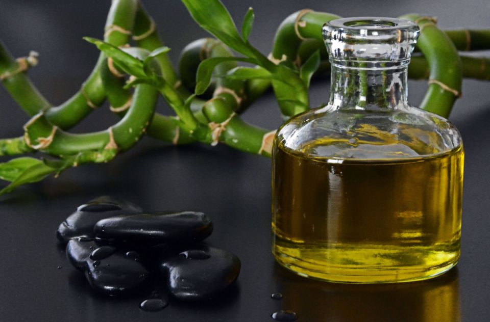 Оливковое масло: защитник мозга от ожирения и воспалений