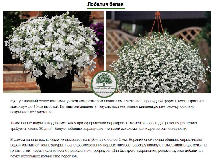 ������� � ����: ��� ������� ������ �������� ���� � �������