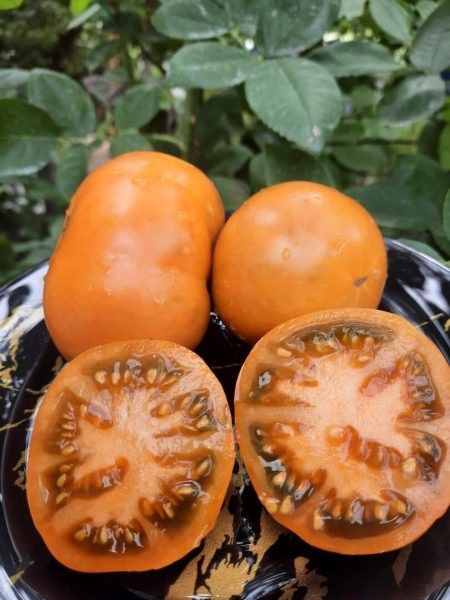 ����� �������: ��������� ������ ������������ � �������� ���������� �����������