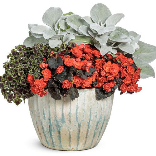 ������������ ������ ��� ����: ��� ����������� ����� ������� �����