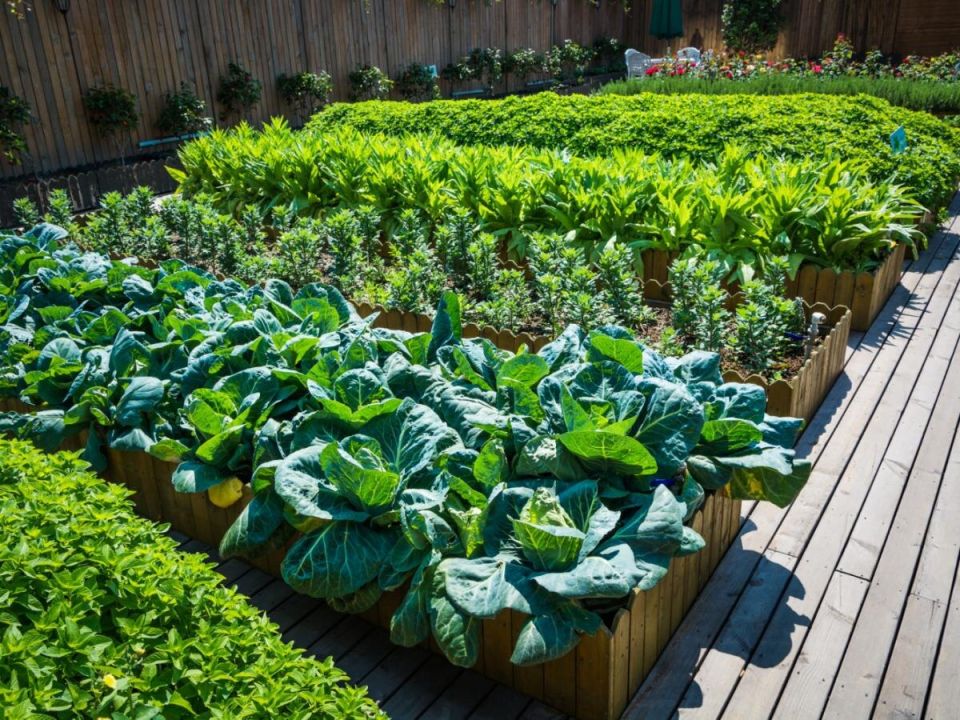 Погружаемся в мир тёплых грядок: как создать своими руками