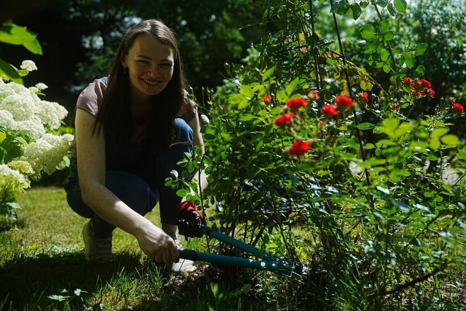 ����������� ������ �� ���������� ����� � ������ ������ �� ����