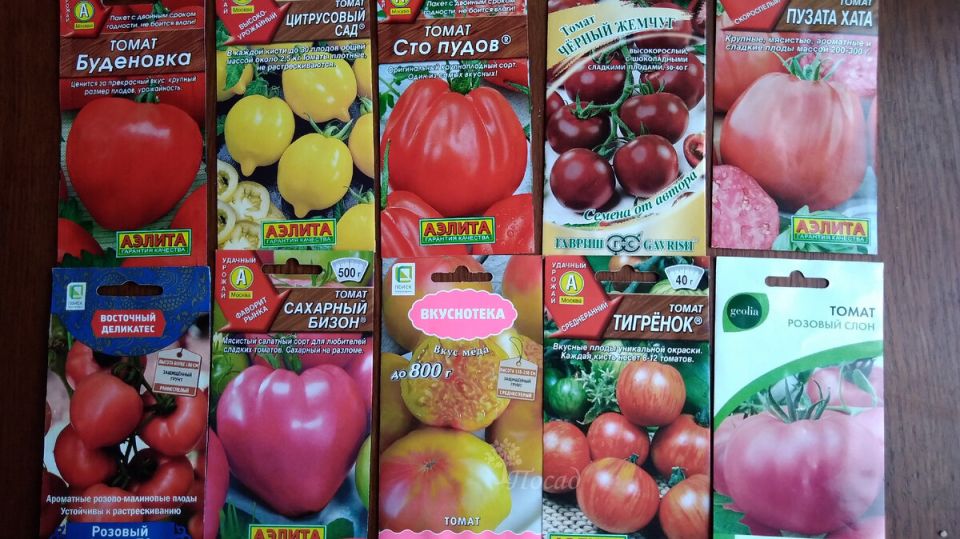 Почему гибриды томатов стоит рассматривать с осторожностью?