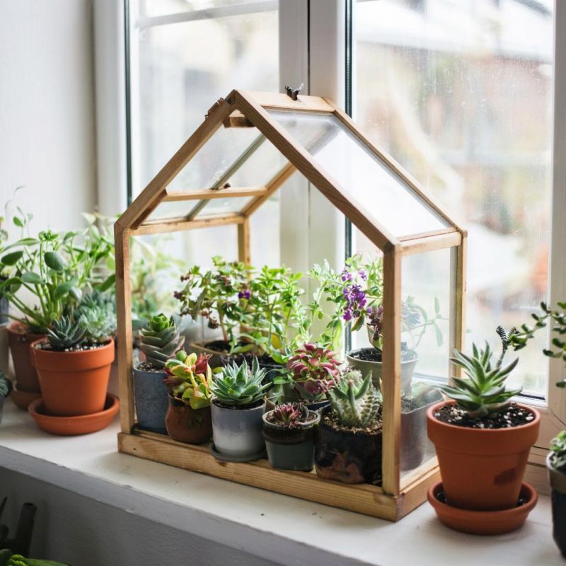 ��� ������� ������� ������� �� �����������: ������ ��� ��������� �������