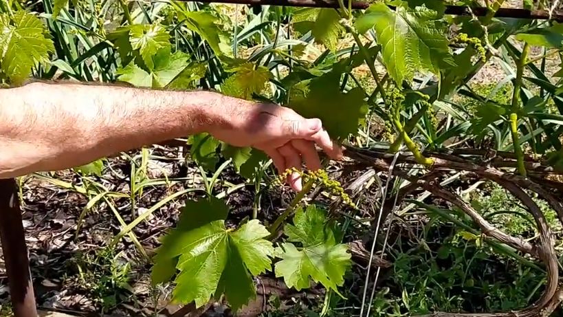 ��� �� 15 ������ �������� ���������� ���� ���������: ������ �������