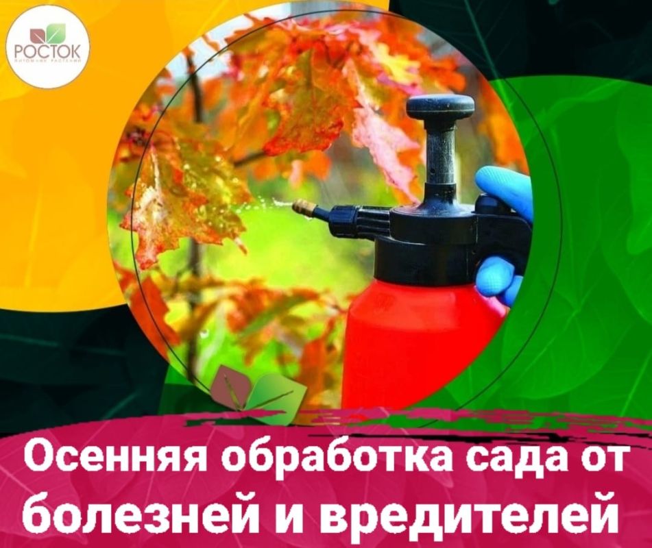 ��� �������� ��� ������: ������ ������ ��� �������� �������� � �����������