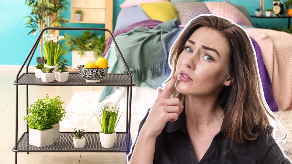 ��� � ������������ ��������� ���������: ������ ��� ����� ����� �������� � �������