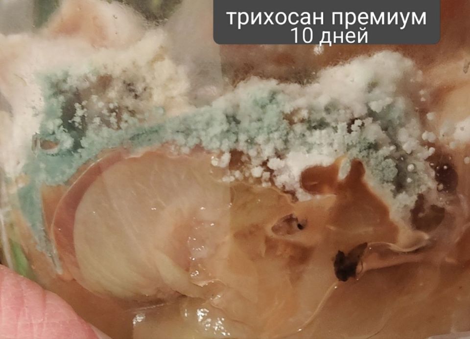 ��������������� ���� ����������: ��� ��� ������ ��� ����������