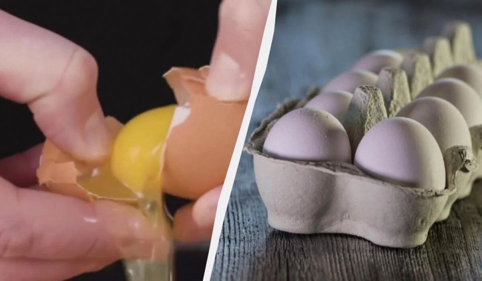 ��������� ������ ��������� ����: ������� ����, � ������� �� �� �����