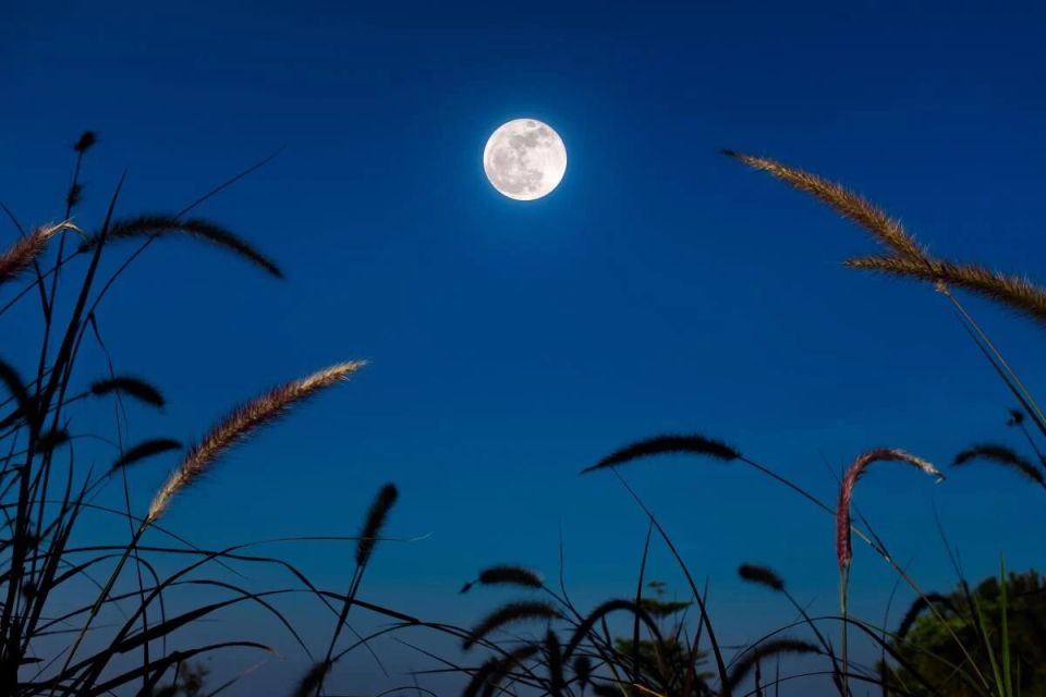 ������ ��������� �������� 2025: ���� � ����� � ��������������