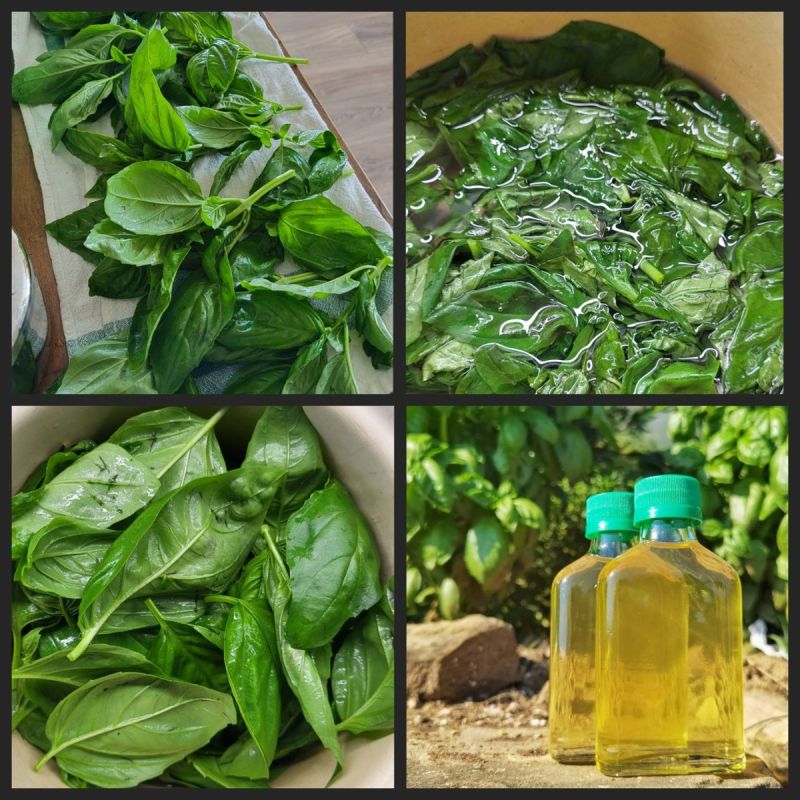 ����� �� ��������: ����� ���������� � ������ �������� � ���������