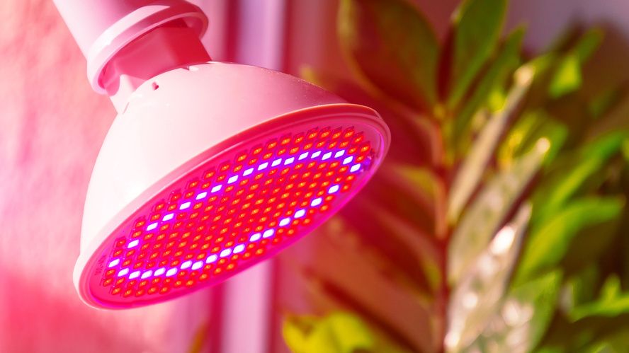 ��� ������� ����� �� 89 ������ ������� ������ � �������