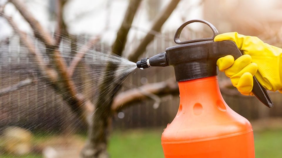 Ноябрь в саду: как мочевина поможет перезимовать и что не стоит делать — 6 простых шагов