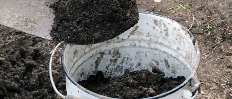 ���������� ������ ������� ��������� ����� ��� �������: 5 ������� �����